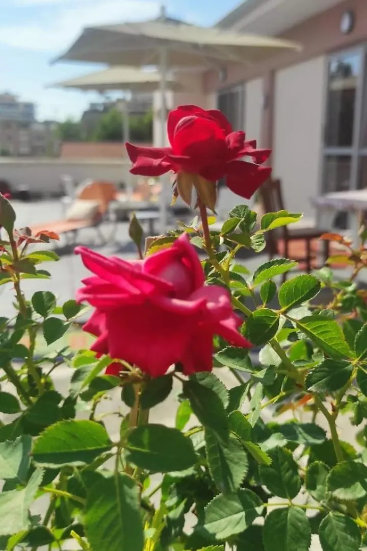 Illyrian Apartment Sun Wlora
